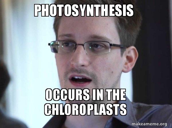 Edward Snowden meme