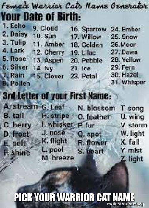pick-your-warrior-cat-name-meme-generator