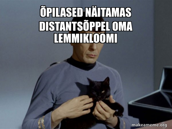 Spock and Cat Meme meme