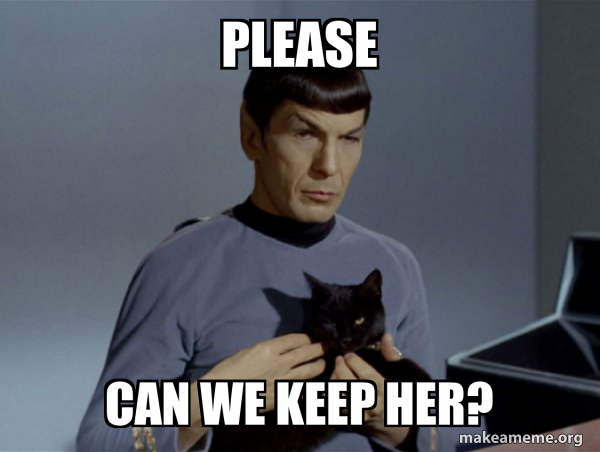 Spock and Cat Meme meme
