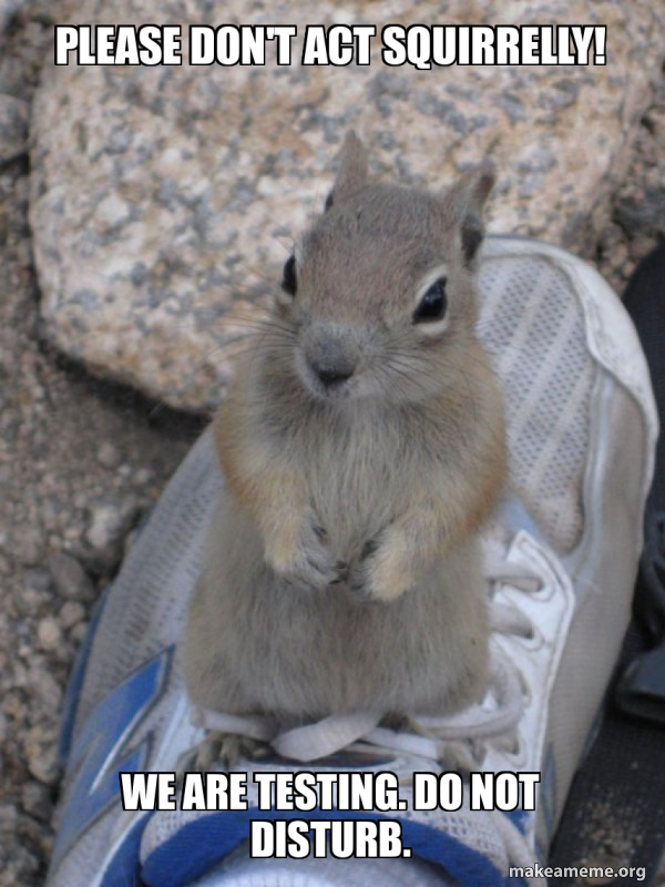 Standover Squirrel meme