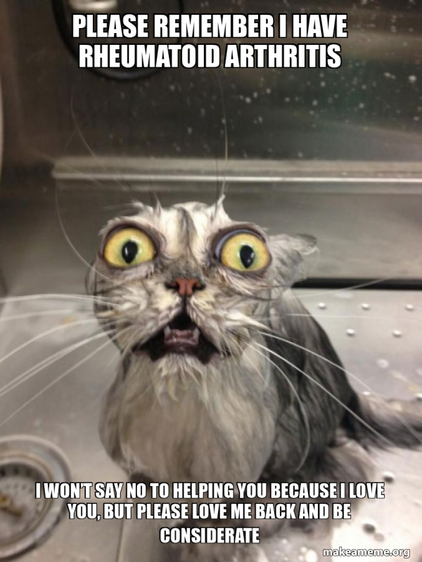 Cat bath meme