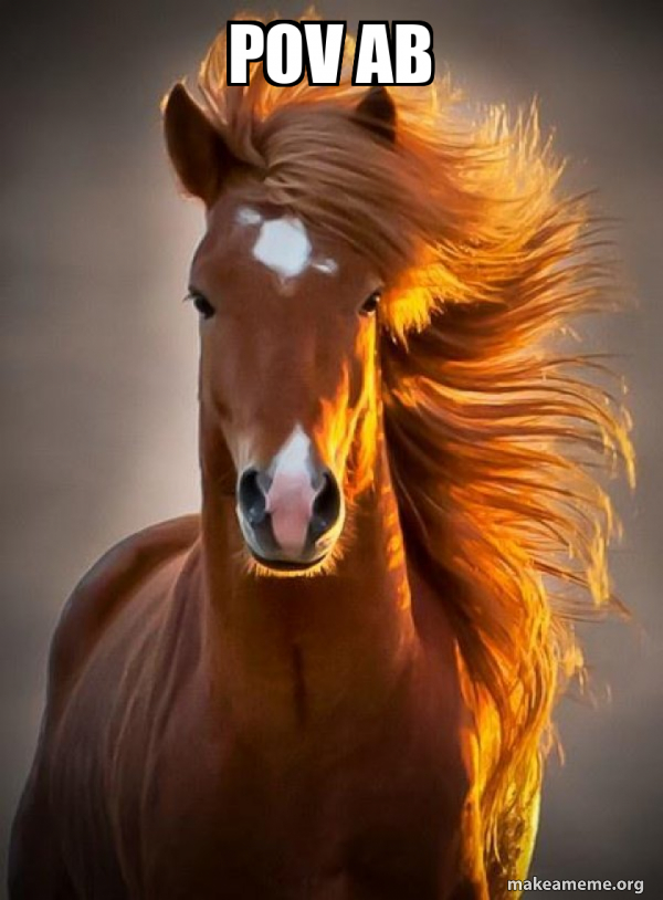 Ridiculously photogenic horse meme