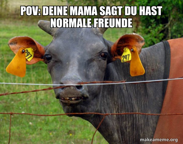 Hairless Cow meme