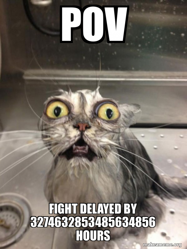 Event Rained Delay Meme POV Fight delayed by 3274632853485634856 hours - Cat bath Meme Generator