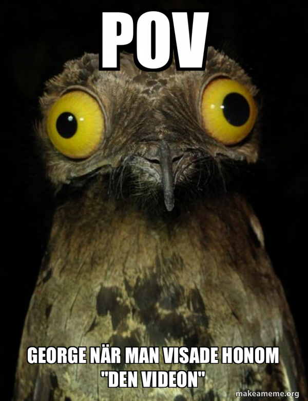 Weird Stuff I do Potoo meme