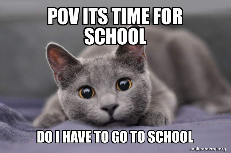 pov its time for school do i have to go to school Meme Generator