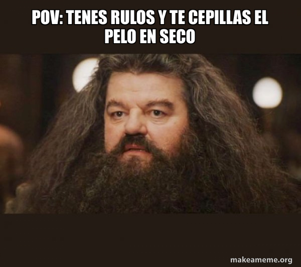 Hagrid - I should not have said that meme