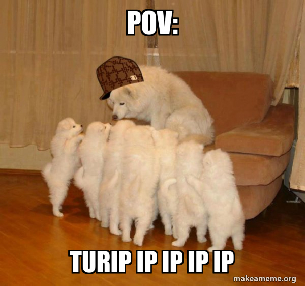 Scumbag Storytelling Dog meme