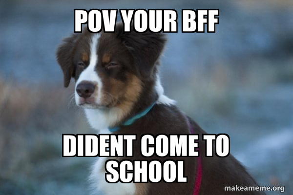 Unsure Dog meme
