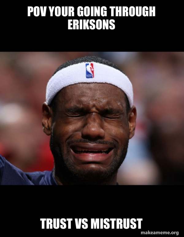 POV your going through eriksons trust vs mistrust - Lebron Crying Meme ...