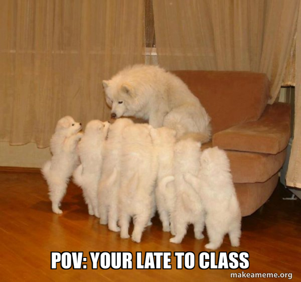 Storytelling Dog meme