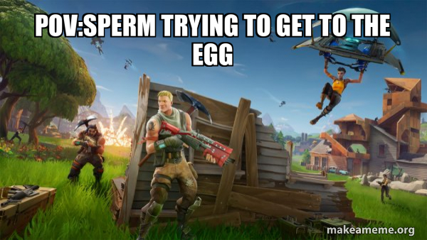 Fortnite Battle Royale game meme