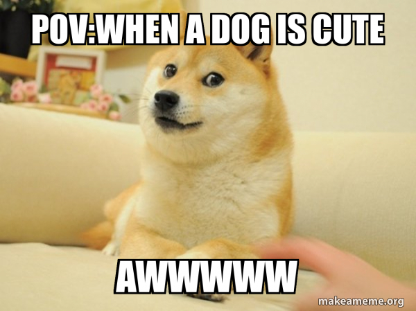 Doge meme
