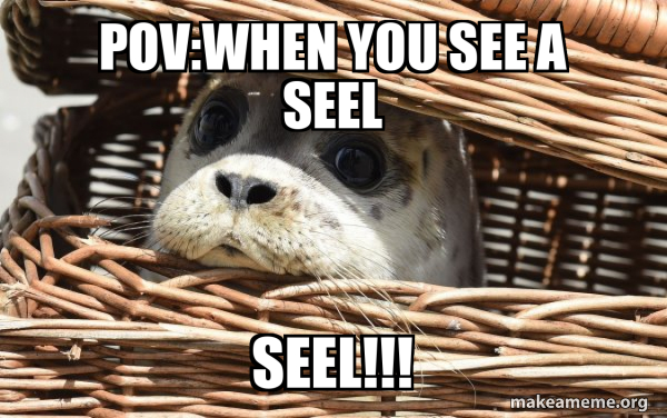 Impending Doom Seal meme