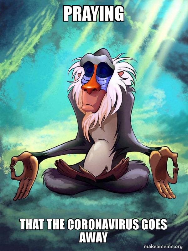 Rafiki Meditating - Lion King meme