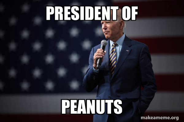 Joe Biden 2020 meme