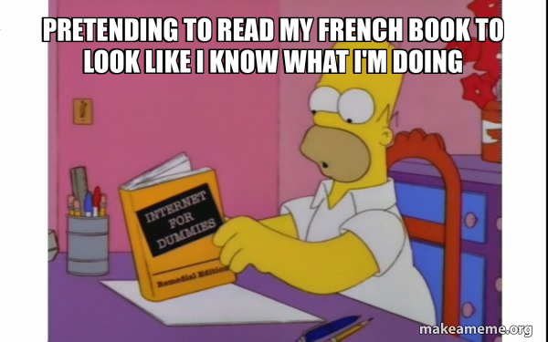 pretending to read my French book to look like I know what I'm doing ...