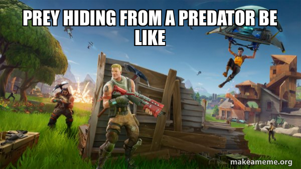 Fortnite Battle Royale game meme