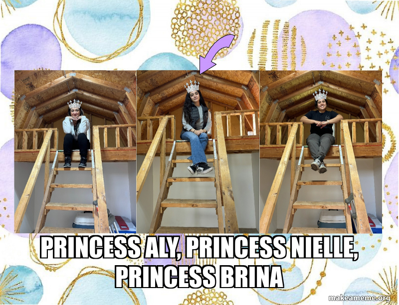Princess Aly, Princess Nielle, Princess brina Meme Generator