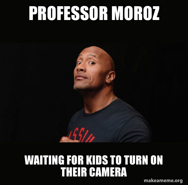 Professor Moroz Professor Moroz waiting for kids to turn on their camera - Dwayne ...