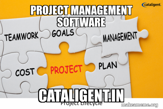 Project management Software cataligent.in Meme Generator