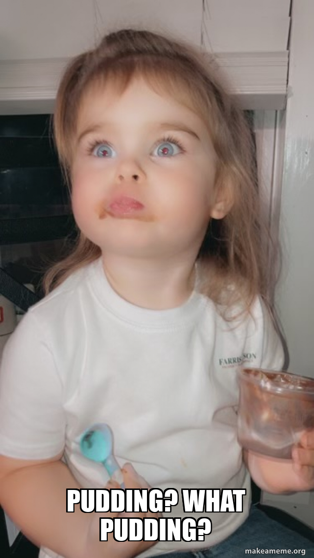 Pudding? What pudding? Meme Generator
