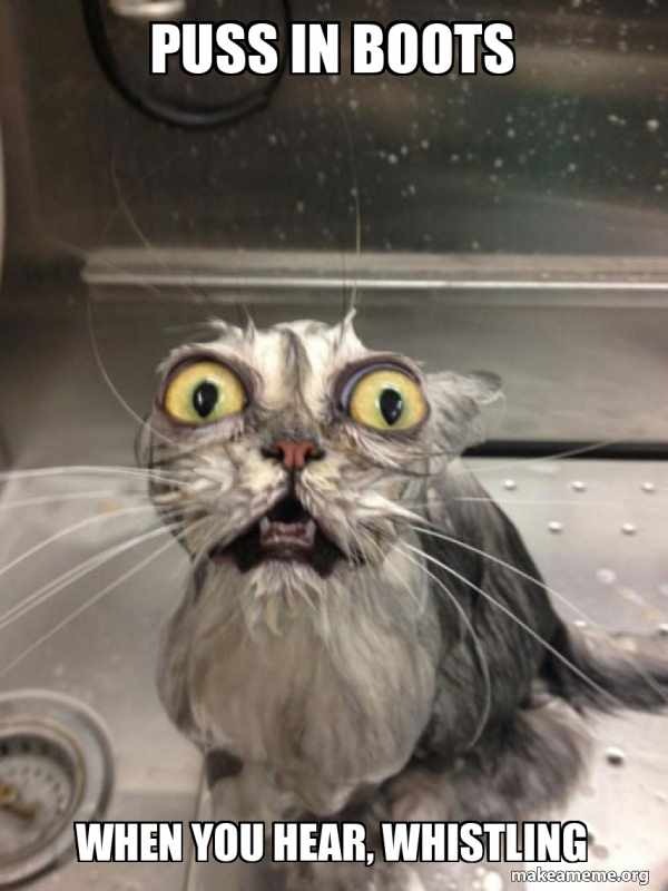 Puss in boots When you hear, whistling - Cat bath Meme Generator