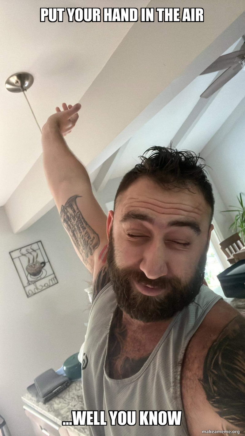 put your hand in the air ...well you know Meme Generator