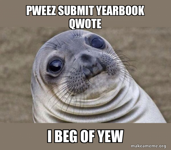 Squeamish Seal meme