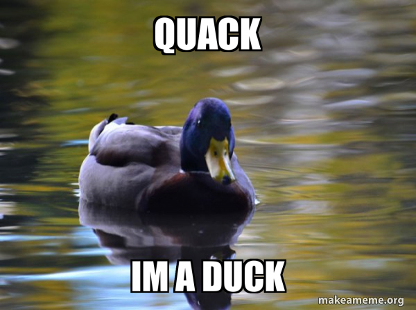 Zen Advice Mallard meme