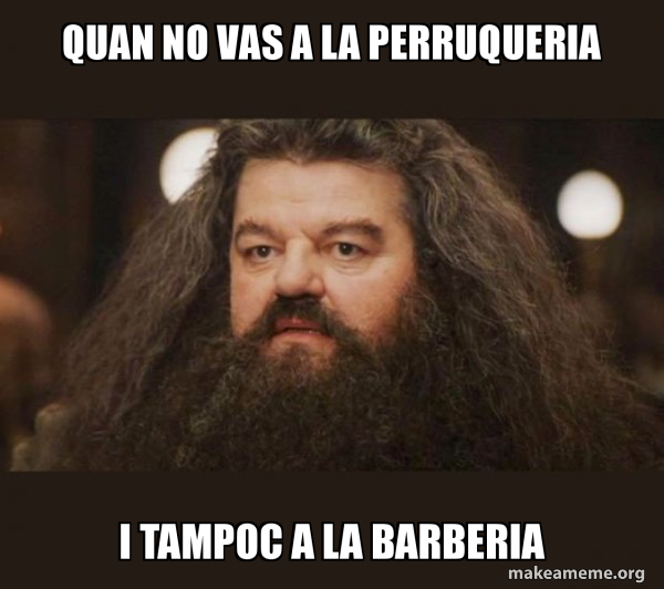 Hagrid - I should not have said that meme