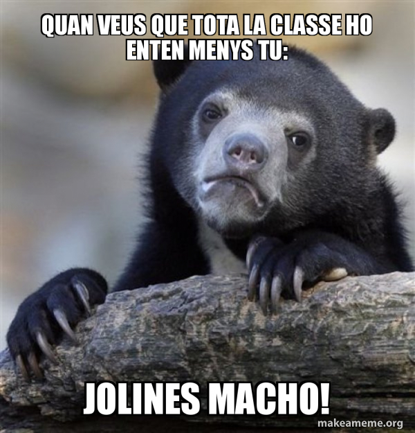 Confession Bear meme