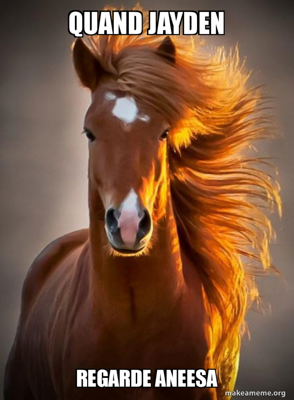 Ridiculously photogenic horse meme