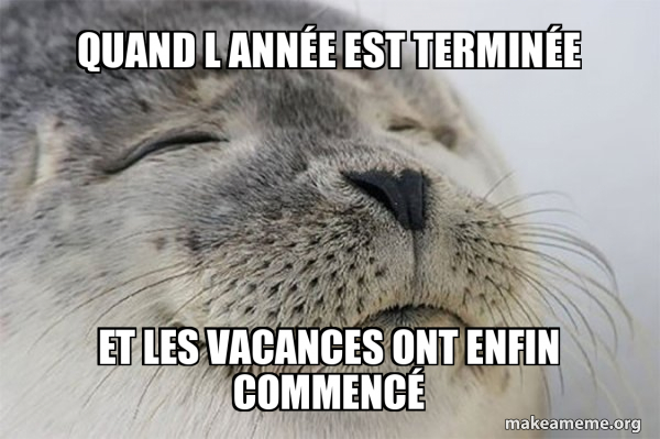 Quand l année est terminée et les vacances ont enfin commencé ...