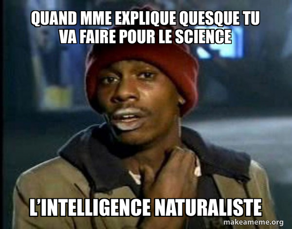 Dave Chappelle Junkie Y'all Got Anymore of meme