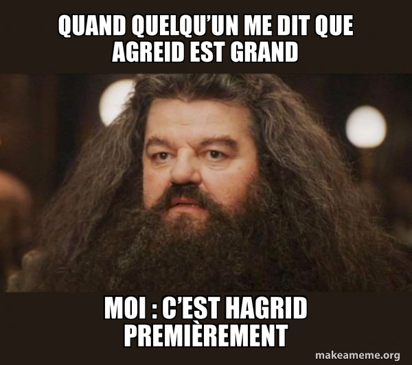 Hagrid - I should not have said that meme