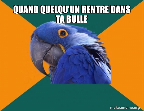 Paranoid Parrot meme