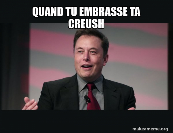 Elon Musk meme