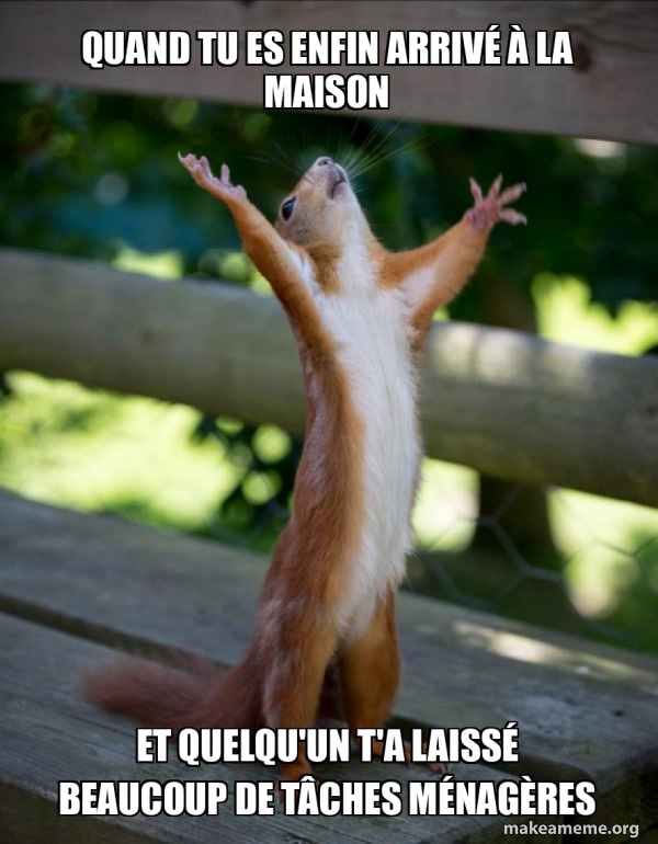 Happy Squirrel meme