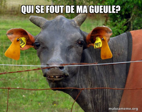 Elle Se Fout De Ma Gueule
