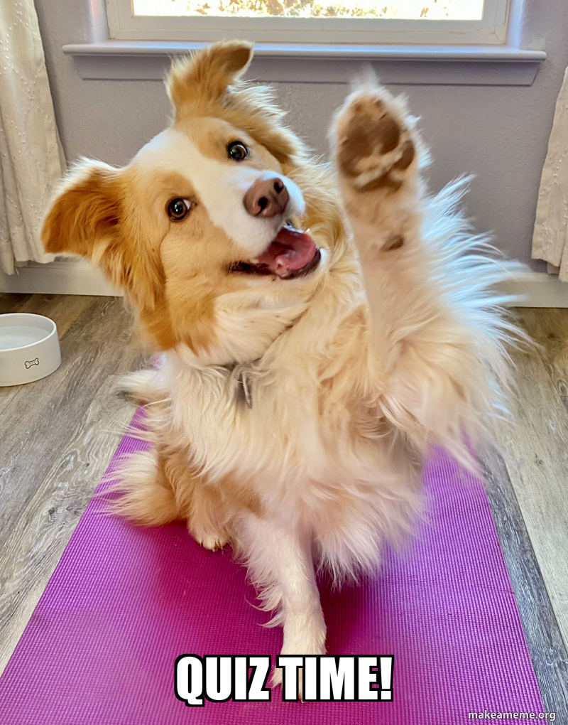 QUIZ TIME! Make a Meme