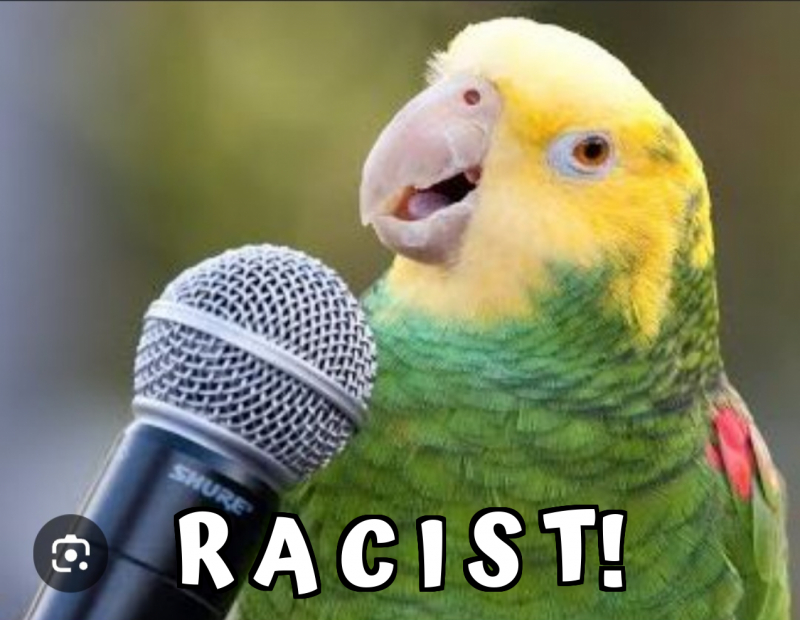 R a c i s t! Meme Generator