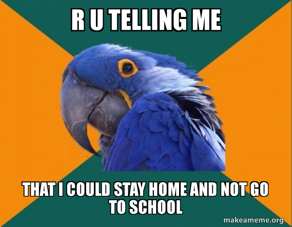 Paranoid Parrot meme