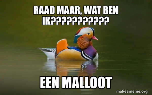 Fashionable Advice Mallard meme