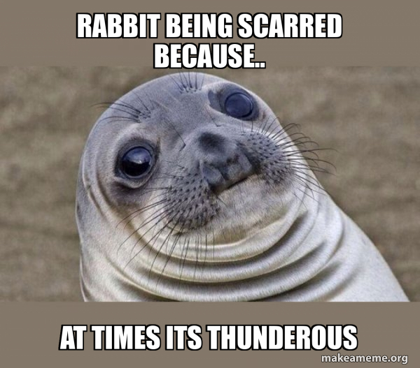 Squeamish Seal meme