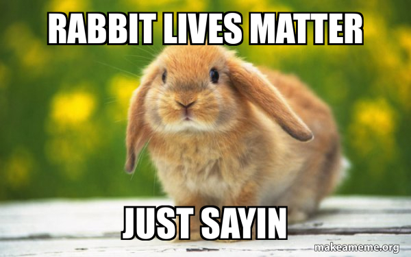 Regretful Rabbit meme