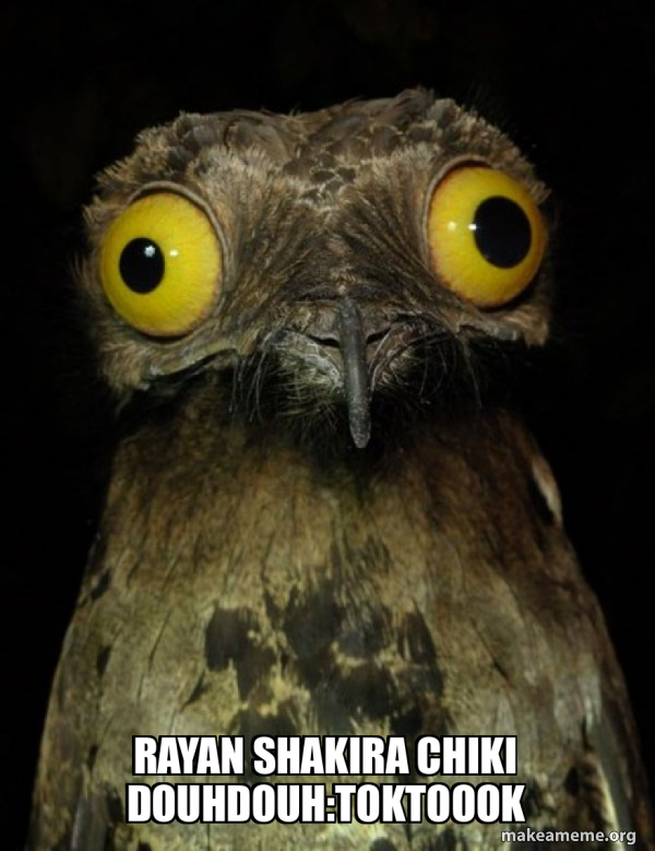 Weird Stuff I do Potoo meme