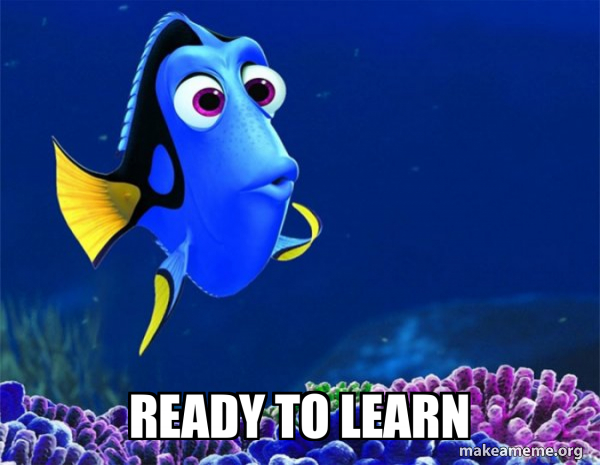 Dory from Nemo (5 second memory) meme