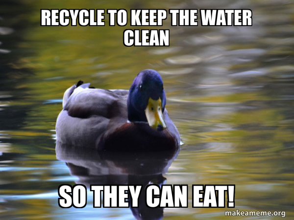 Zen Advice Mallard meme